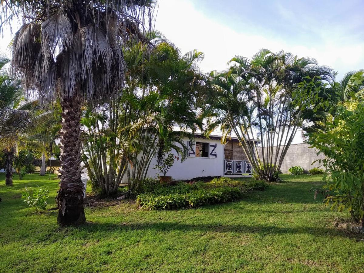 Villa & Bungalow Fleur De Coco Sainte-Anne  Esterno foto